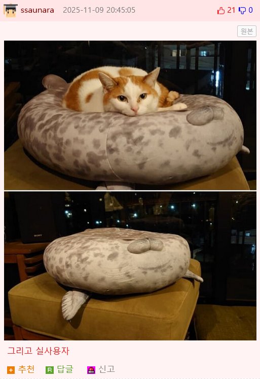 업체가 사과했지만 고객들은 다 좋아했다는 썰.jpg4