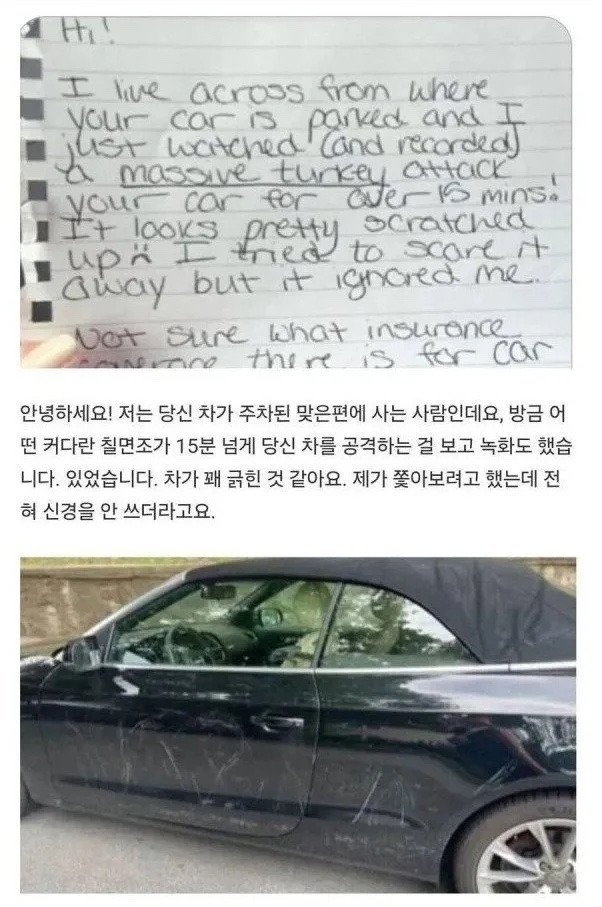 엄청 긁힌 차에 남겨진 쪽지1