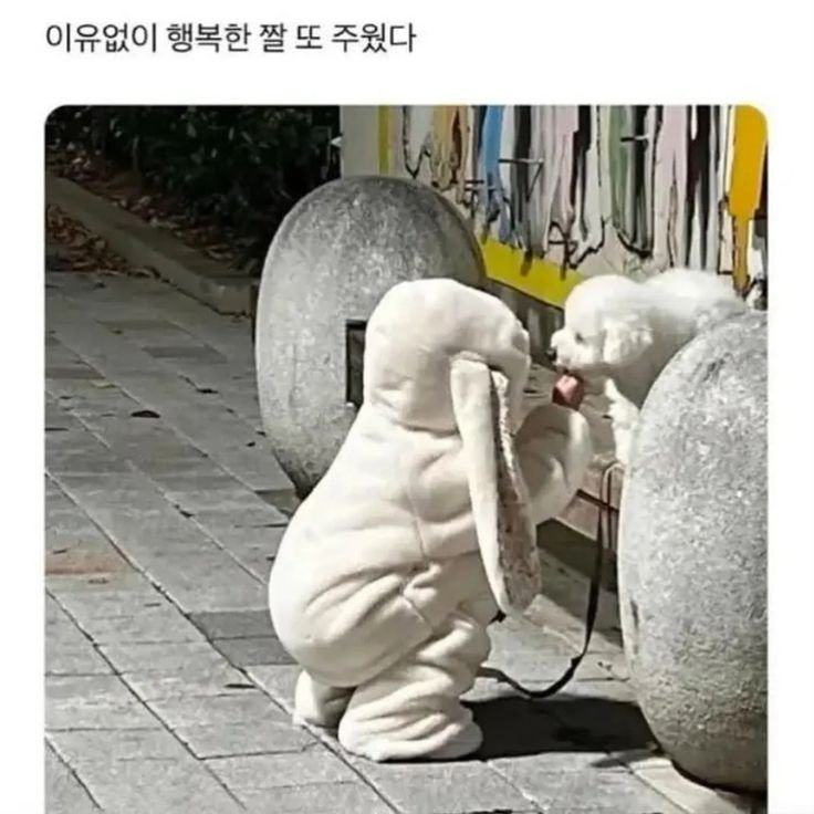 행복해 지는 사진 보고 가셈1