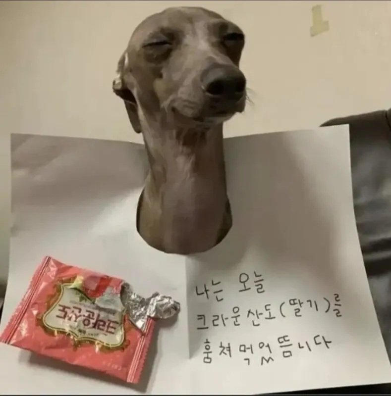 전혀 후회없는 선택.jpg1