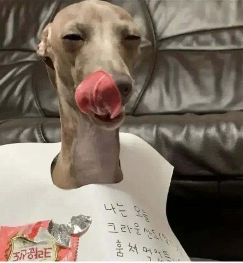 전혀 후회없는 선택.jpg2