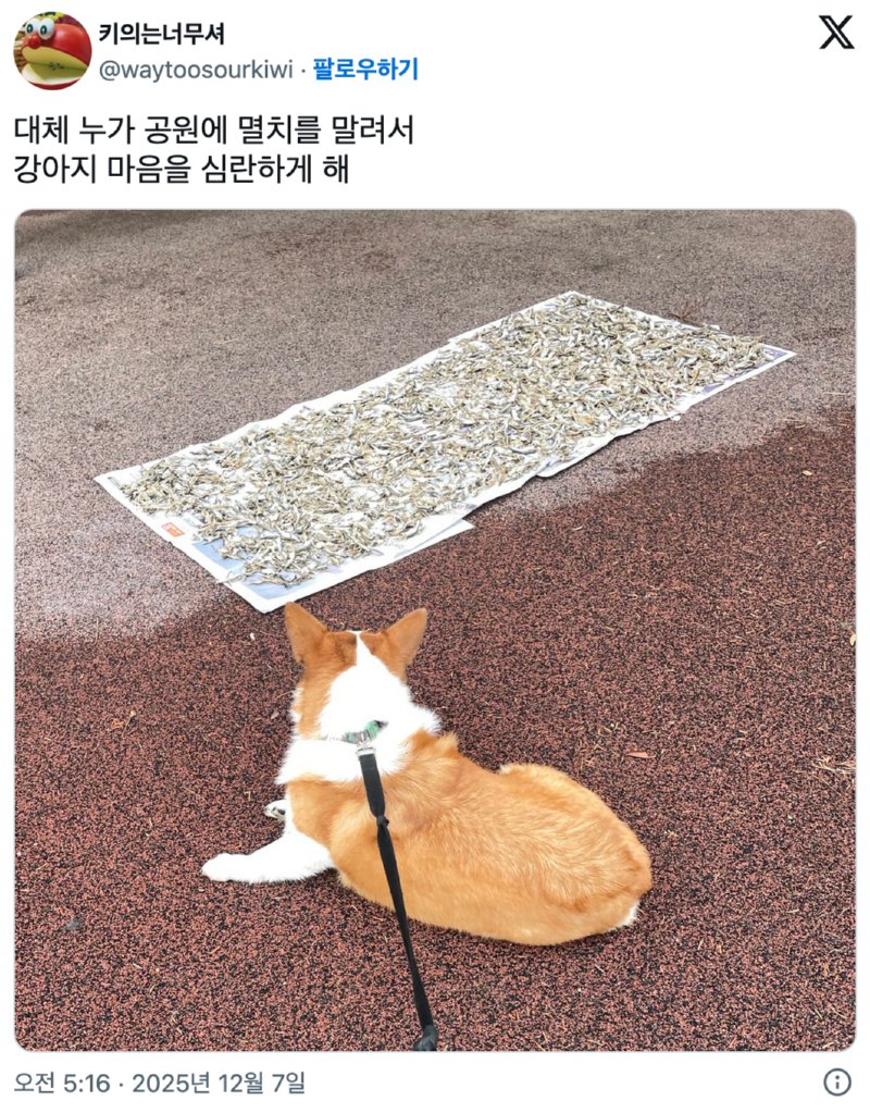 왜 공원에서 멸치를 말려서1
