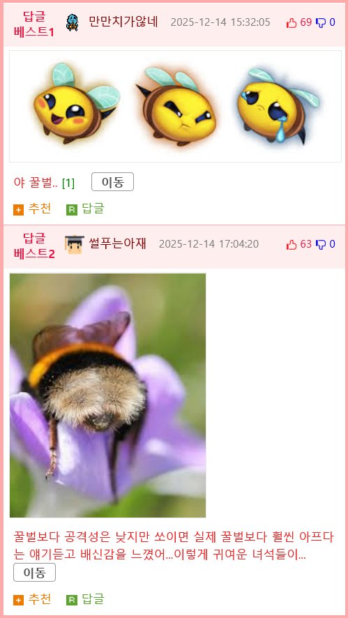 꿀벌 대체 곤충이된 호박벌.jpg2