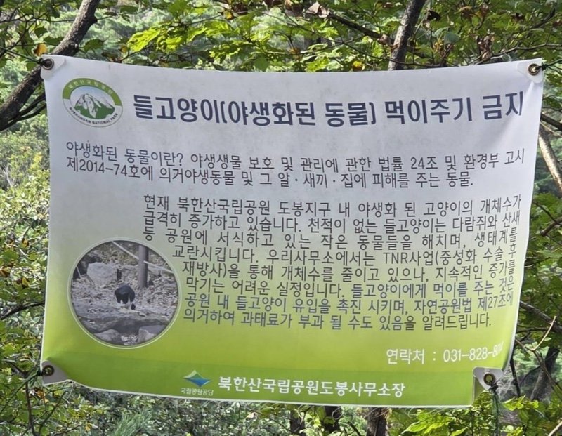 도봉산 근황 feat. 멧돼지와 캣맘4