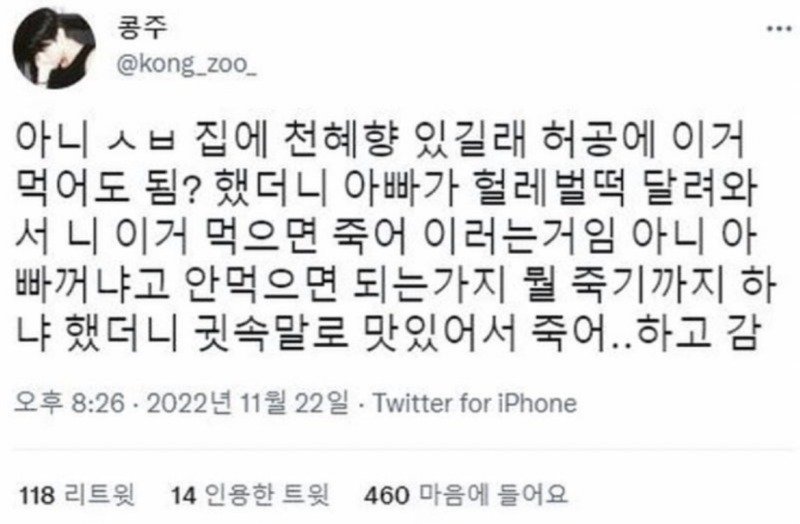 아니 집에 천혜향 있길래1