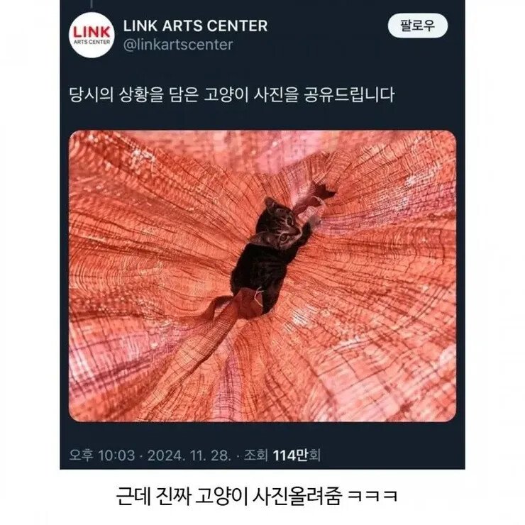 어느 아트홀 사과문에 분노한 이유!3