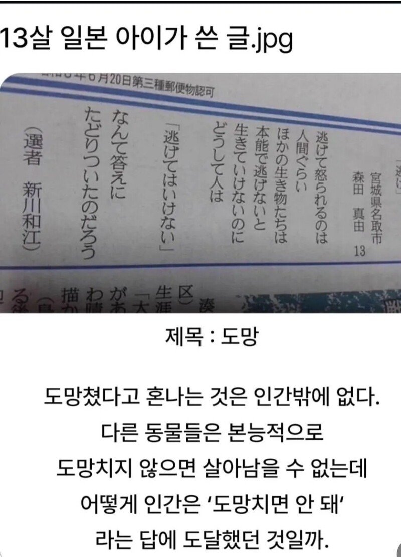 13살 일본아이가 쓴글.jpg1