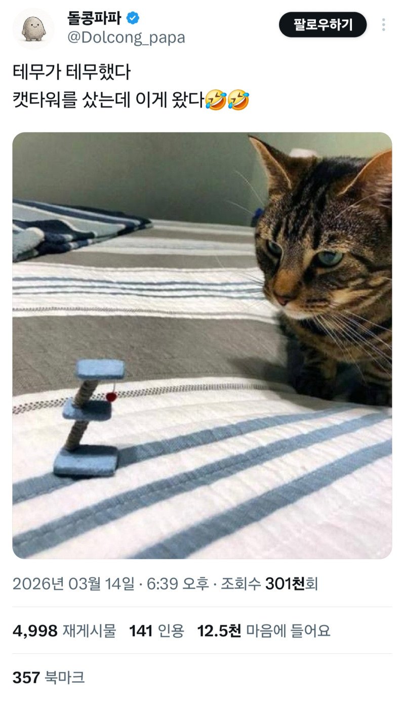 테뮤산 캣 타워1