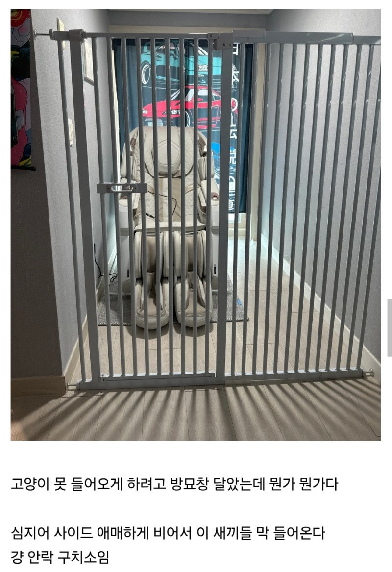 안마 의자를 사긴 했는데1