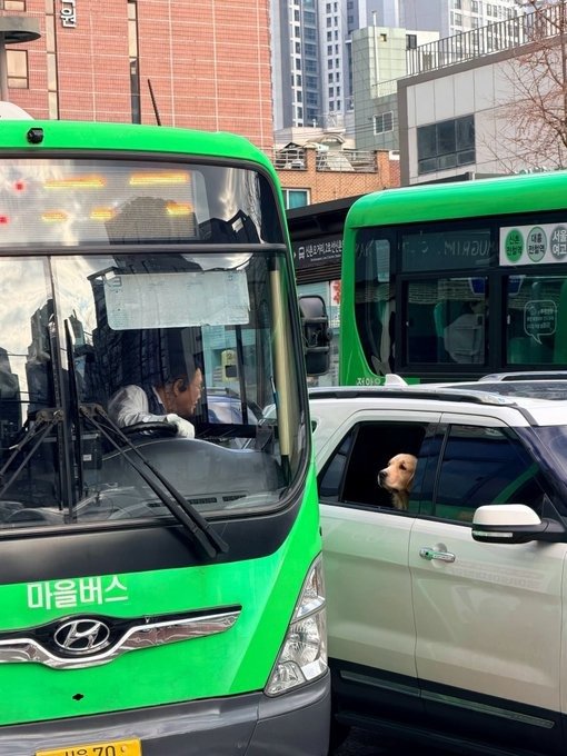 한국적이고 가슴이 따뜻해지는 짤1