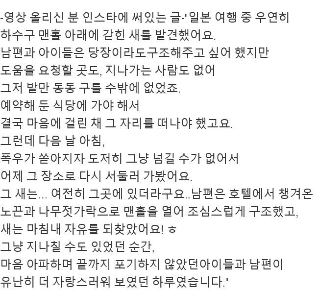 日에서 화제라는 한국인 영상.mp42