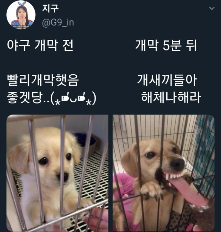 역시 야구 개막 하기만 하면 나오는.jpg1