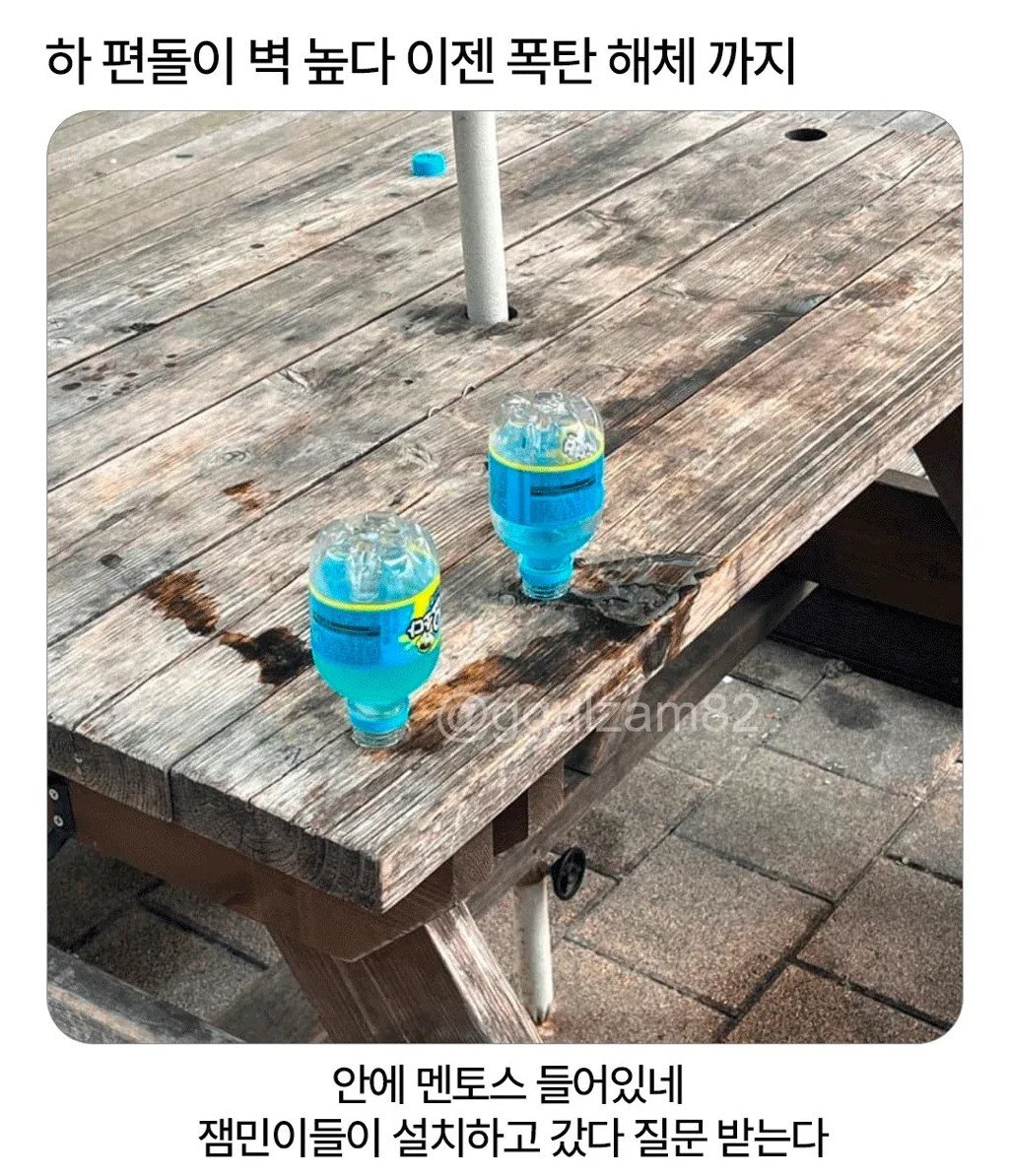 편돌이 업무 난이도 근황1