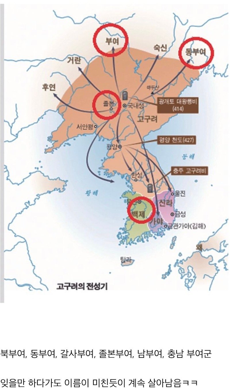 한국에서 가장 끈질긴 이름.jpg1