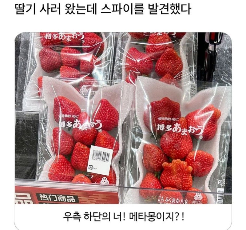 딸기사러왔는데 스파이를 발견했다1