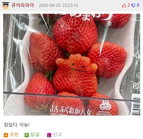딸기사러왔는데 스파이를 발견했다2