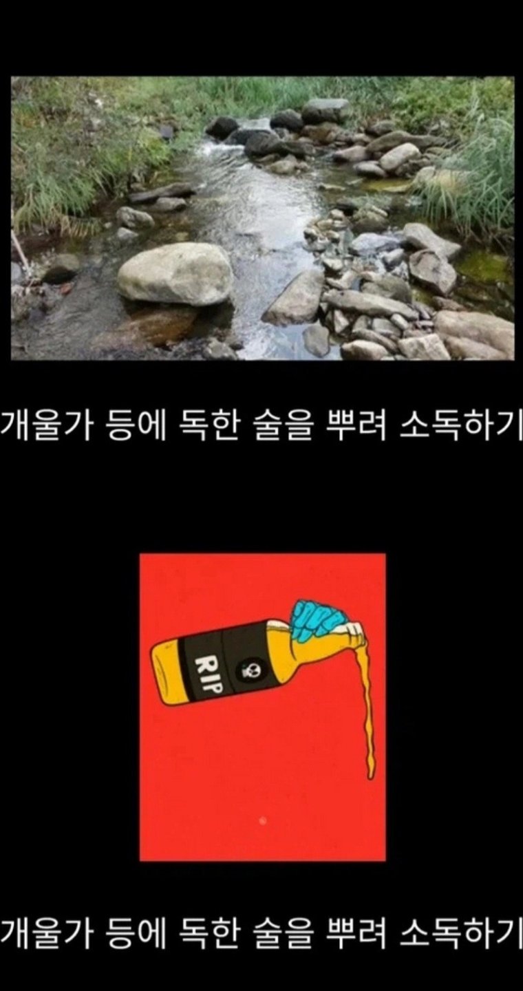 흑사병을 날려버린 전설적 의사6