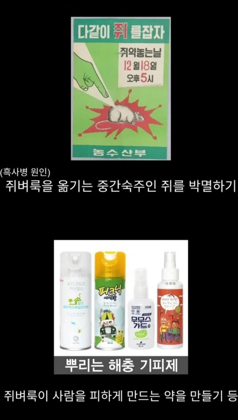 흑사병을 날려버린 전설적 의사7