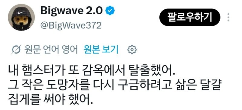 탈출한 햄스터 잡기에 최적이라는 의외의 도구1
