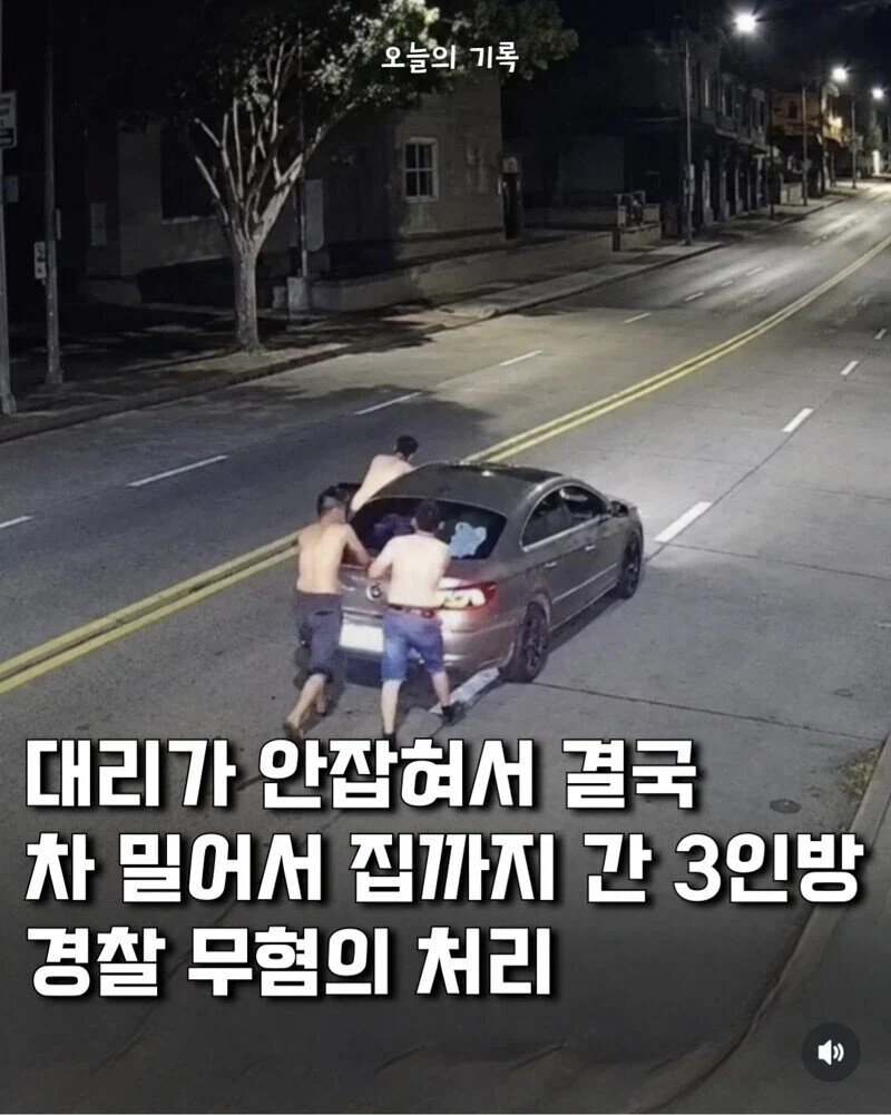 죽어도 음주운전은 안한다1