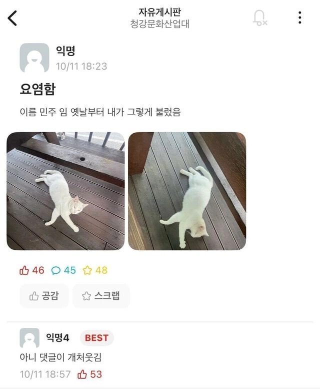 이름이 민주크레토스봉팔이 된 이유2