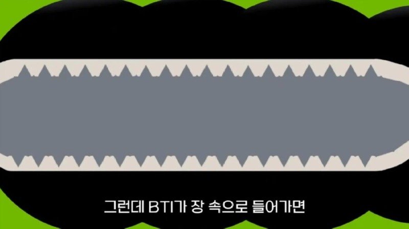 작년에 계양산을 뒤덮었던 러브버그의 천적 발견14