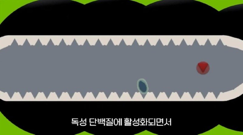 작년에 계양산을 뒤덮었던 러브버그의 천적 발견15