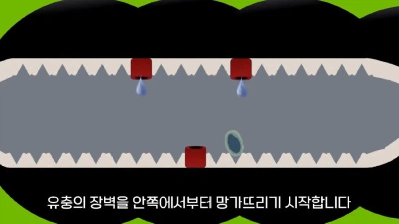 작년에 계양산을 뒤덮었던 러브버그의 천적 발견16