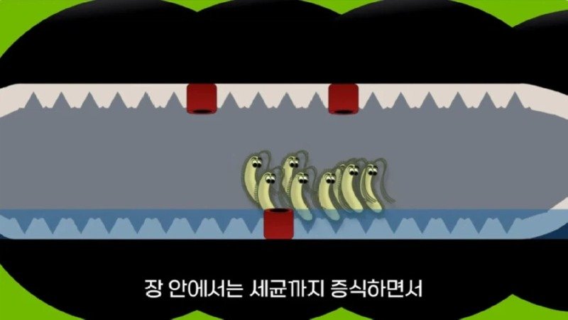 작년에 계양산을 뒤덮었던 러브버그의 천적 발견19