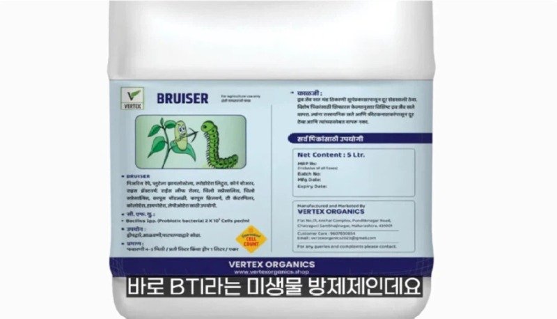 작년에 계양산을 뒤덮었던 러브버그의 천적 발견2