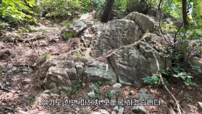 작년에 계양산을 뒤덮었던 러브버그의 천적 발견26