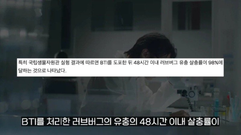 작년에 계양산을 뒤덮었던 러브버그의 천적 발견9