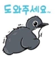 캣맘에 질리셨나요? 생태계를 지키고 싶으십니까?1