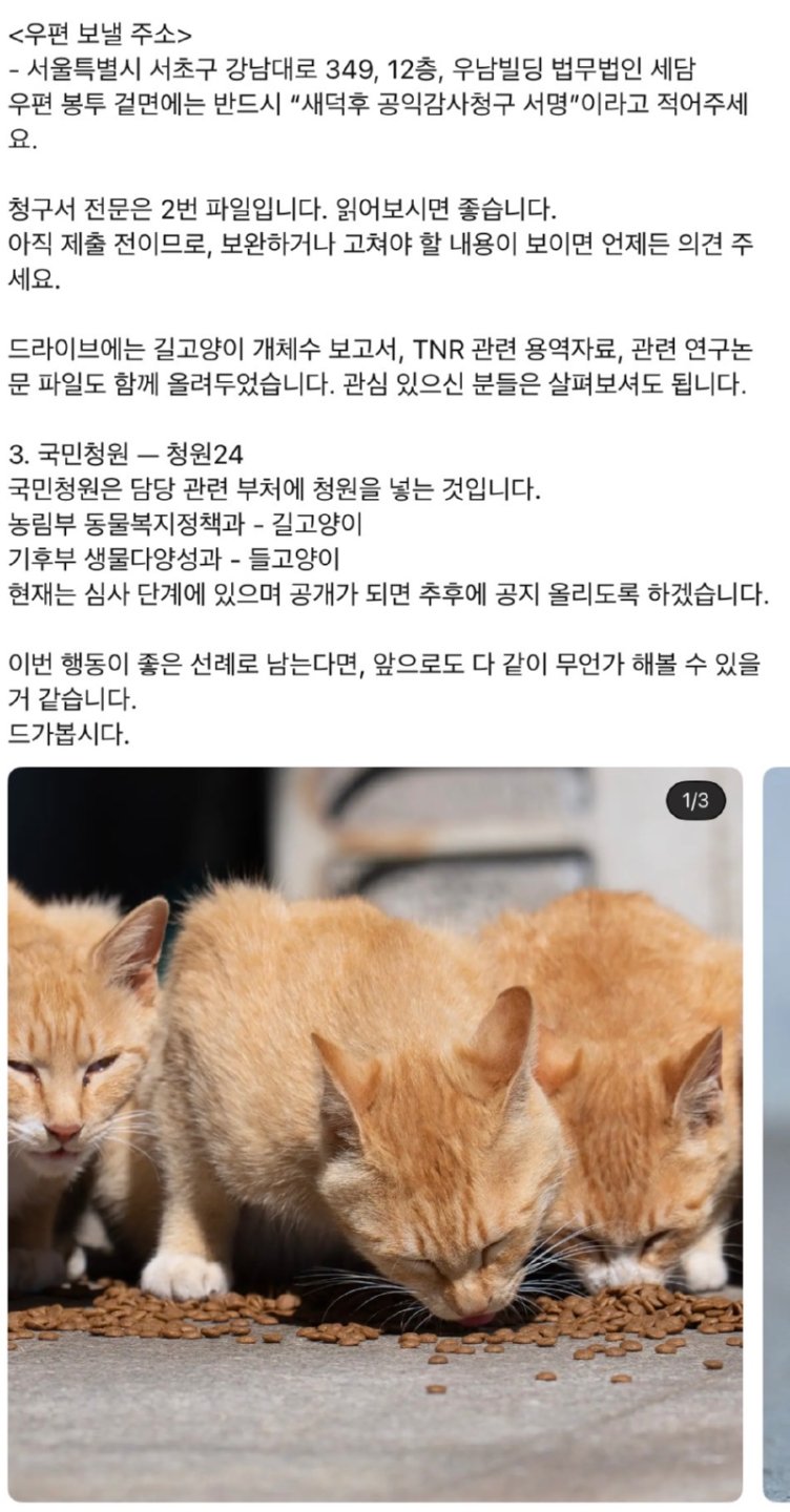 캣맘에 질리셨나요? 생태계를 지키고 싶으십니까?4