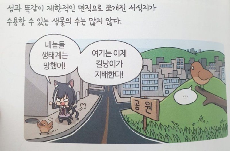 전국 최초로 캣맘 지원 조례를 만든 사람 근황4
