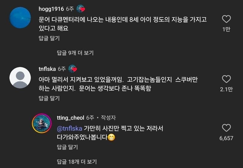 미끼 빼달라고 사람에게 찾아온 문어.mp42