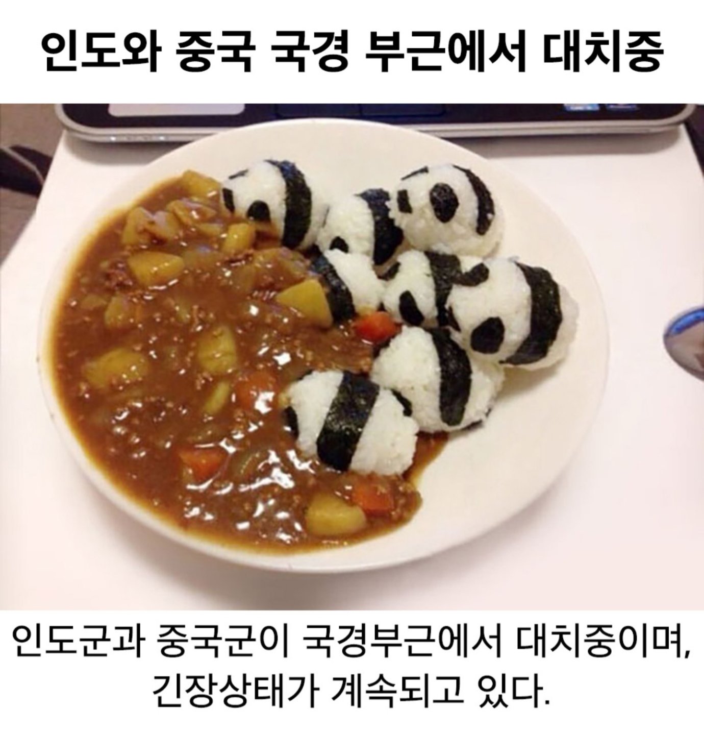 인도와 중국 국경 부근에서 대치중1
