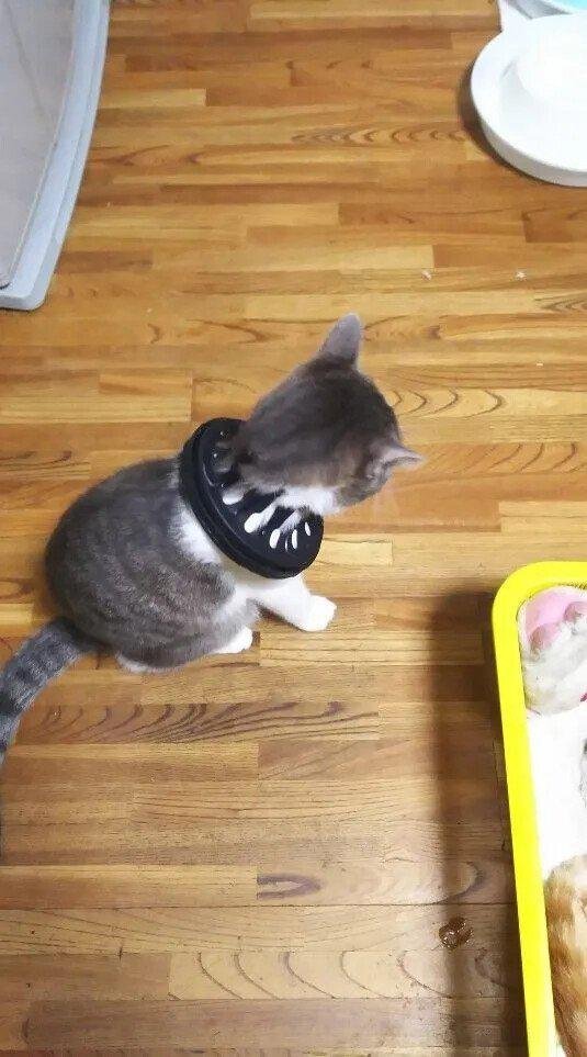 싱크대 마개가 없어졌다.jpg2