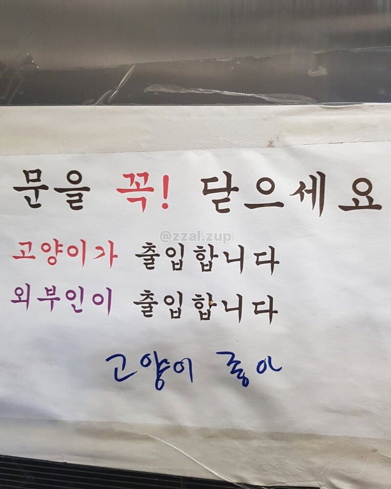 도서관에서 쪽지 받았는데 이게 뭐냐 外13