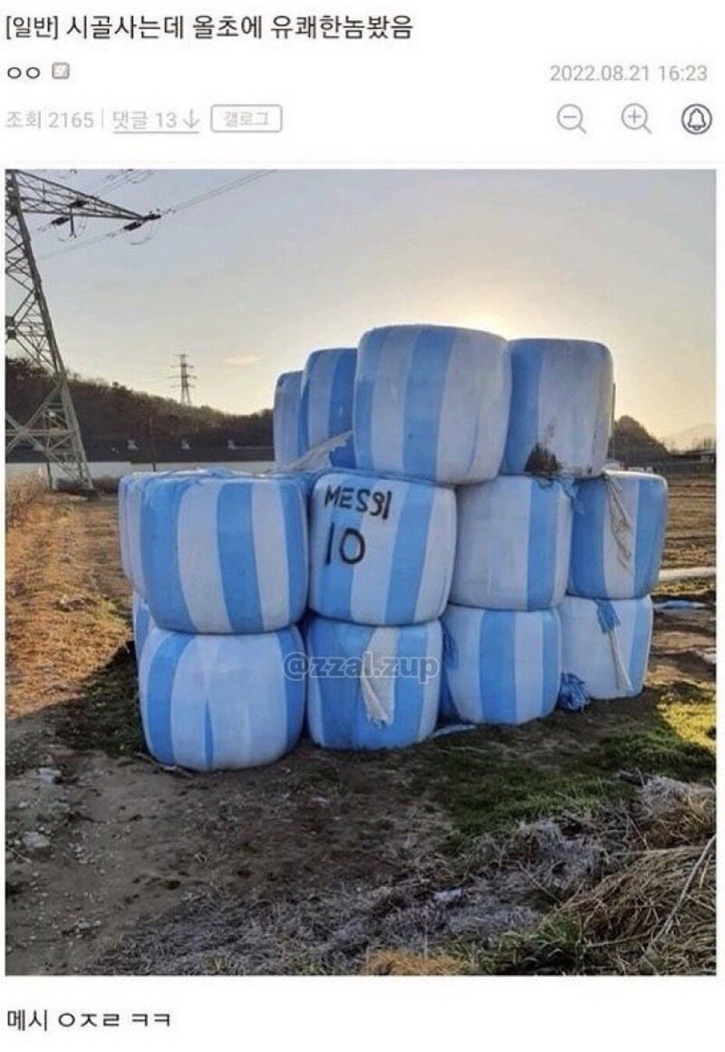 도서관에서 쪽지 받았는데 이게 뭐냐 外14