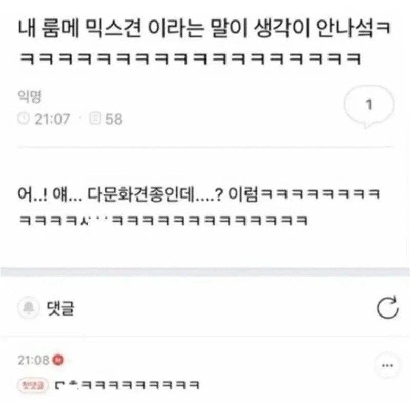 말실수 모음집12