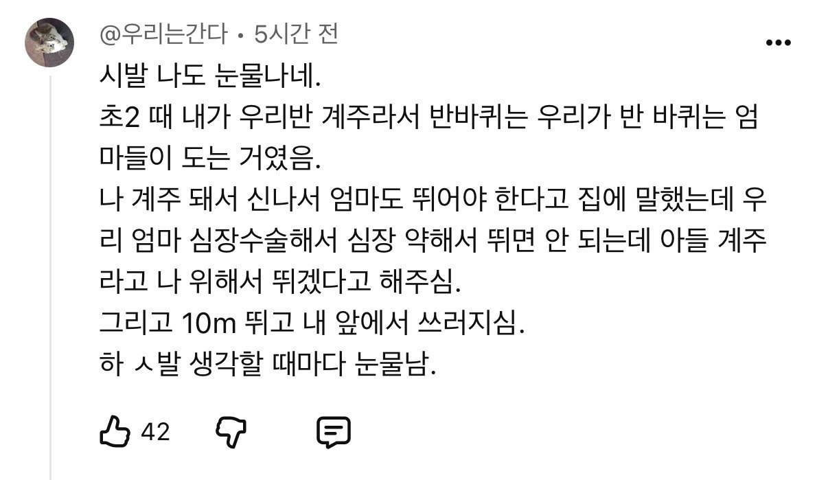 초등학교 운동회에서 엄마가 쓰러진 이유.jpg2