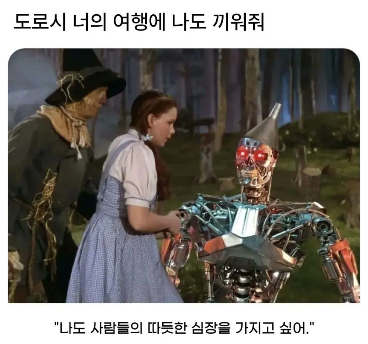 도로시 너의 여행에 나도 끼워줘1