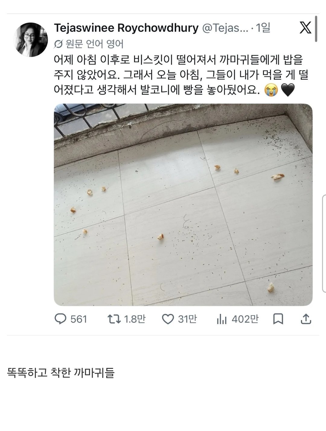 까마귀에게 밥을 주다 멈추면 생기는 일.jpg1