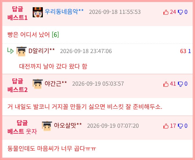 까마귀에게 밥을 주다 멈추면 생기는 일.jpg2