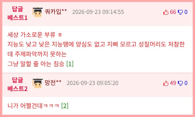 불법주차 한 사람의 마인드2