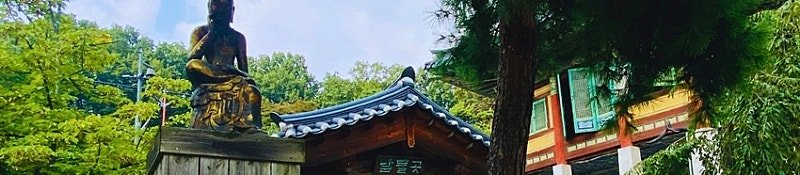 봉은사에 갔다가 힐링 제대로 했어1
