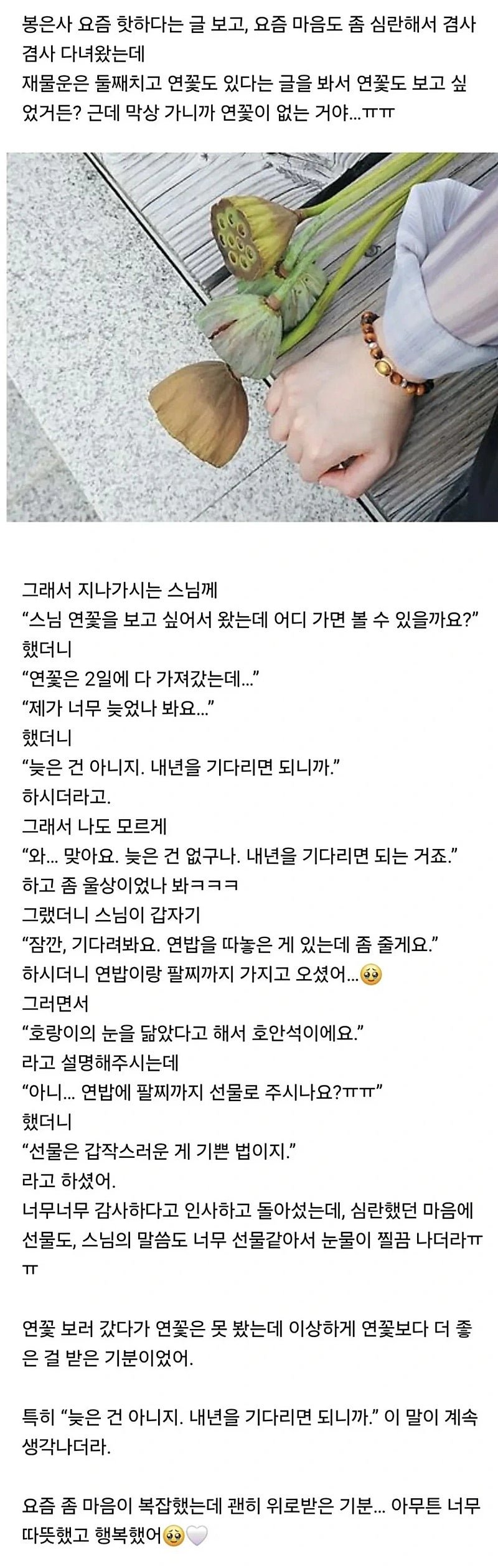 봉은사에 갔다가 힐링 제대로 했어2