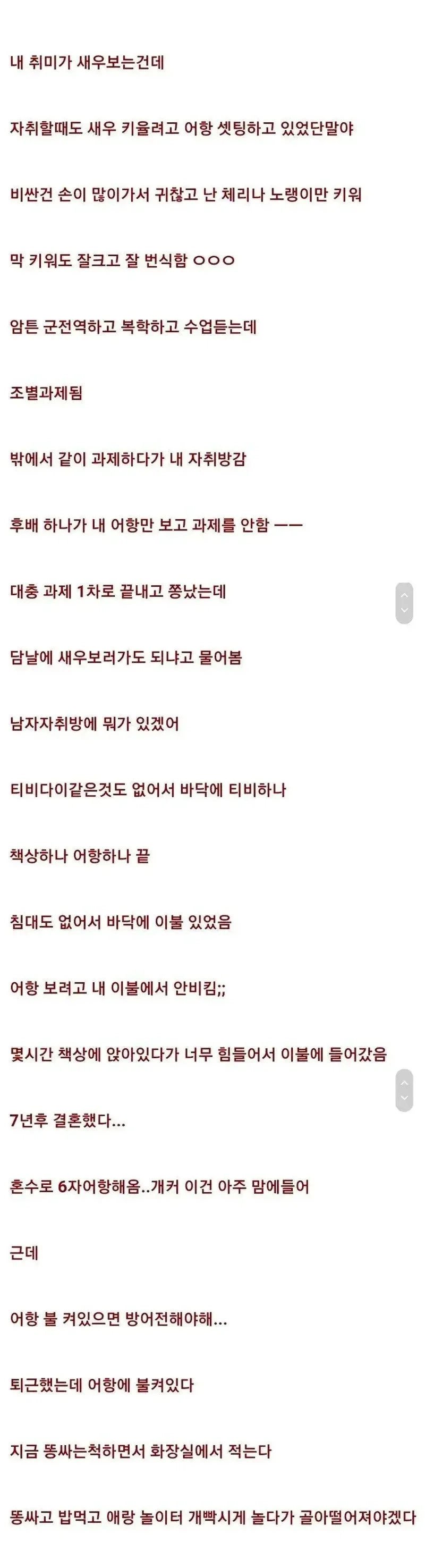 새우 키우면 위험한 이유1