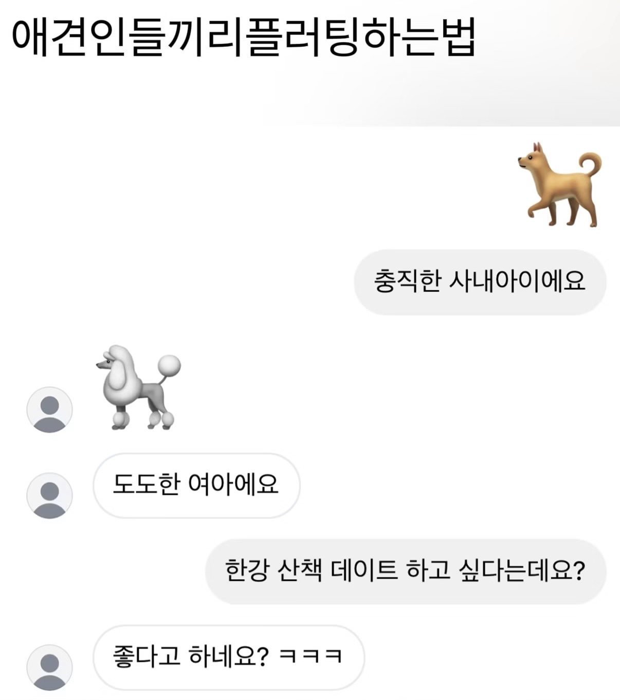 흔한 애견인들 문화1